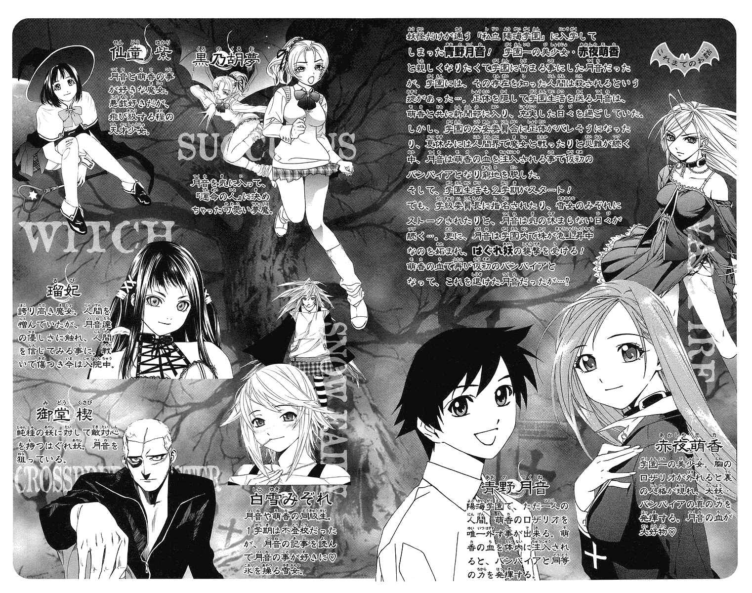 Page 5 Chapter 21 Rosario to Vampire