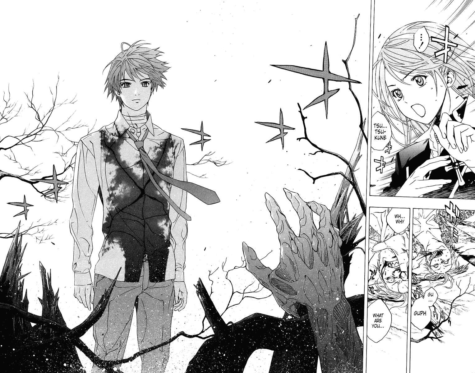 Page 43 Chapter 20 Rosario to Vampire