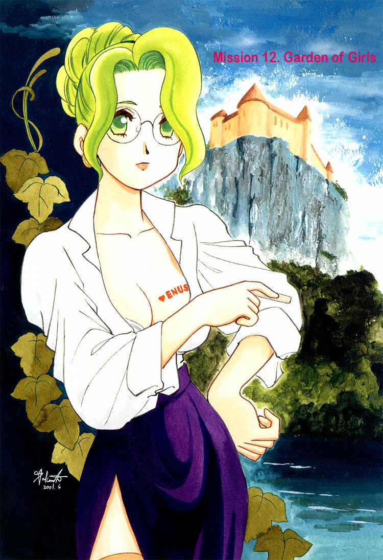 Page 4 Chapter 21 Transistor Venus