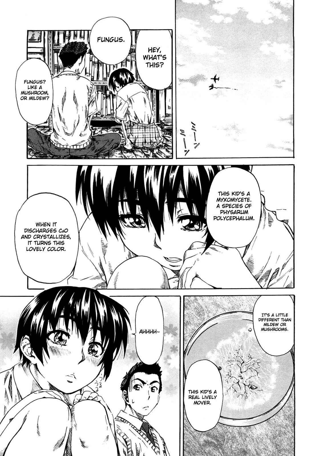 Page 3 Chapter 3 She is a favorite reason as for the lover.