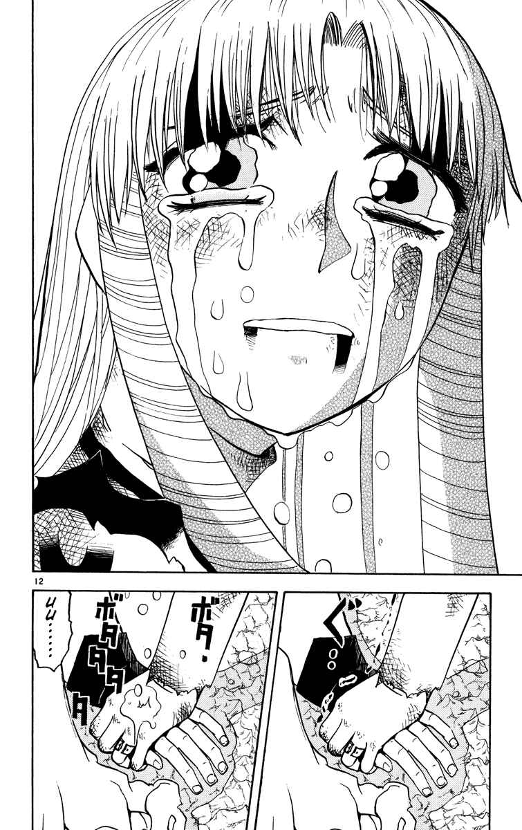 Page 12 Chapter 161 Zatch Bell!!