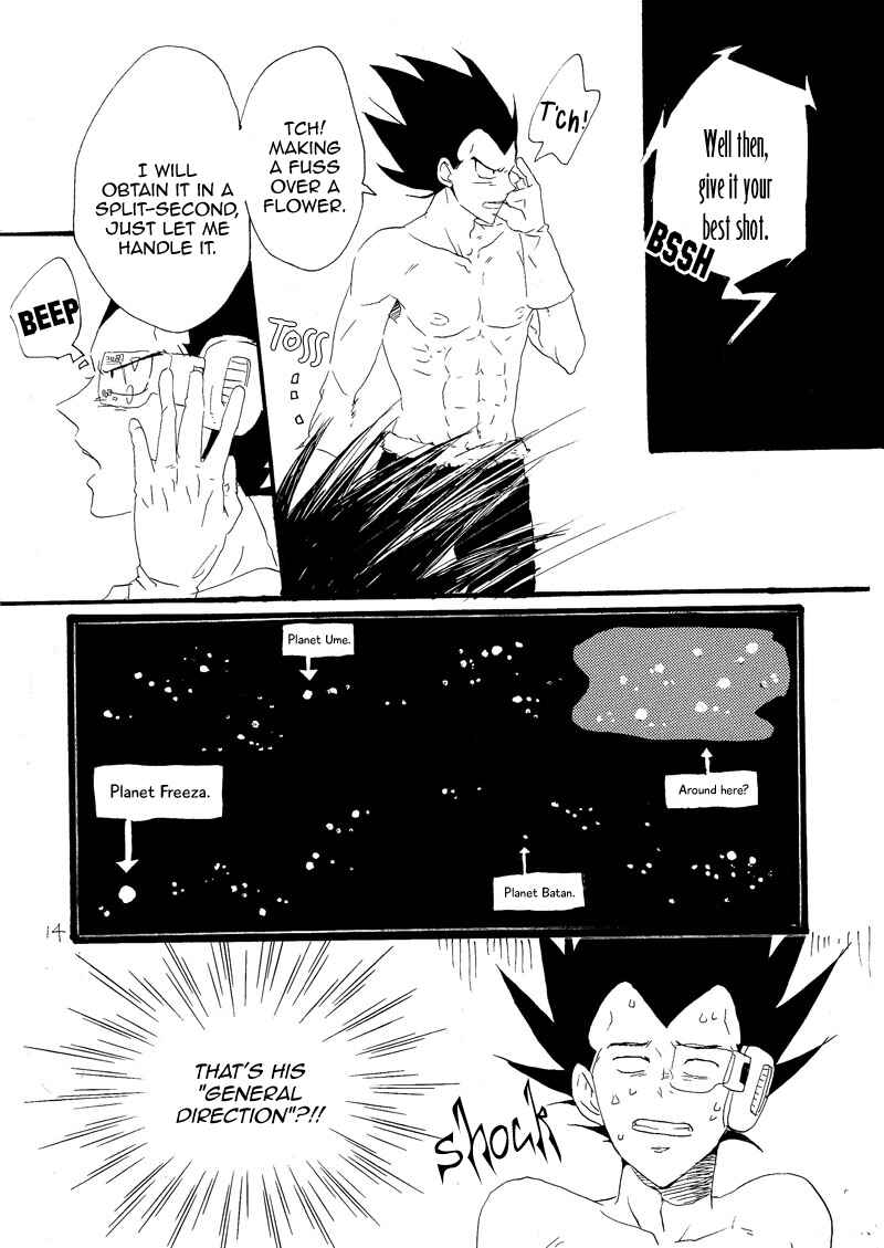 Page 12 Chapter Unknown_6713 Dragon Ball - Makeinu no Hana (Doujinshi)