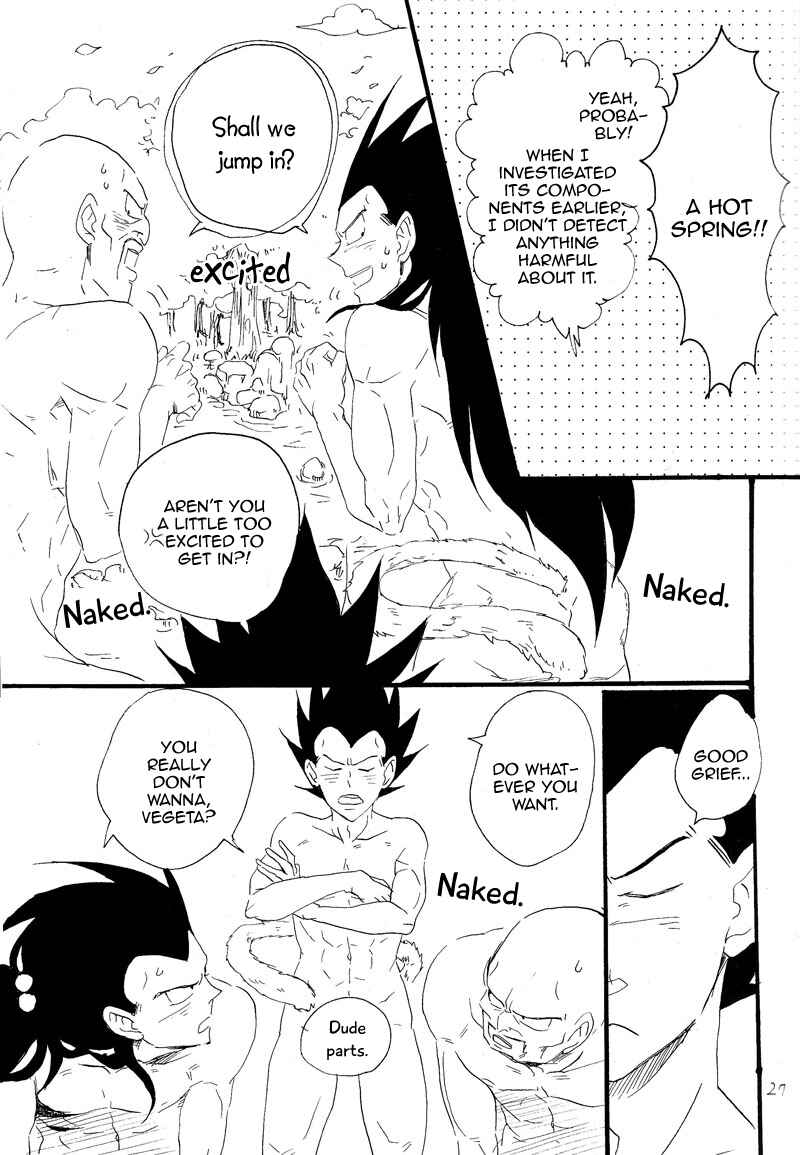 Page 25 Chapter Unknown_6713 Dragon Ball - Makeinu no Hana (Doujinshi)