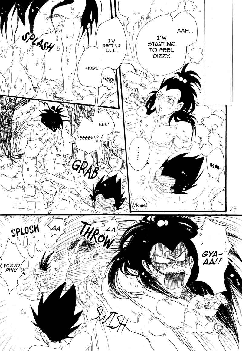 Page 27 Chapter Unknown_6713 Dragon Ball - Makeinu no Hana (Doujinshi)