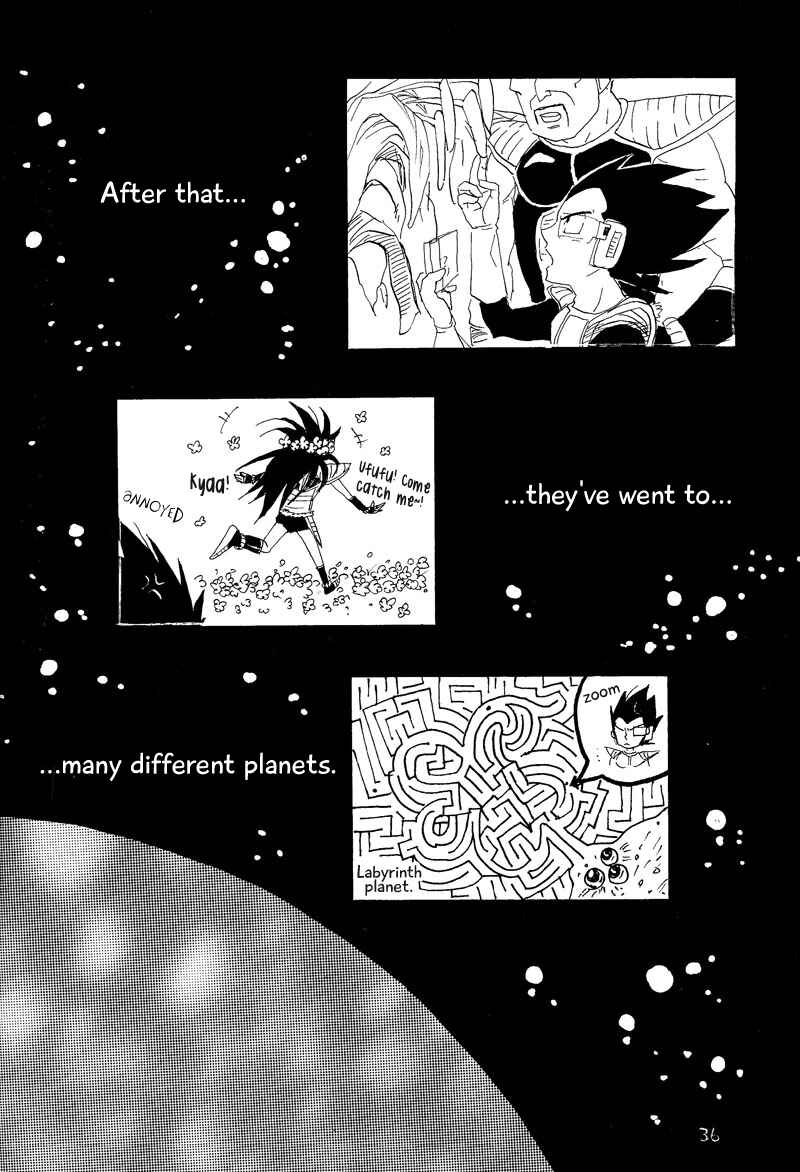 Page 33 Chapter Unknown_6713 Dragon Ball - Makeinu no Hana (Doujinshi)