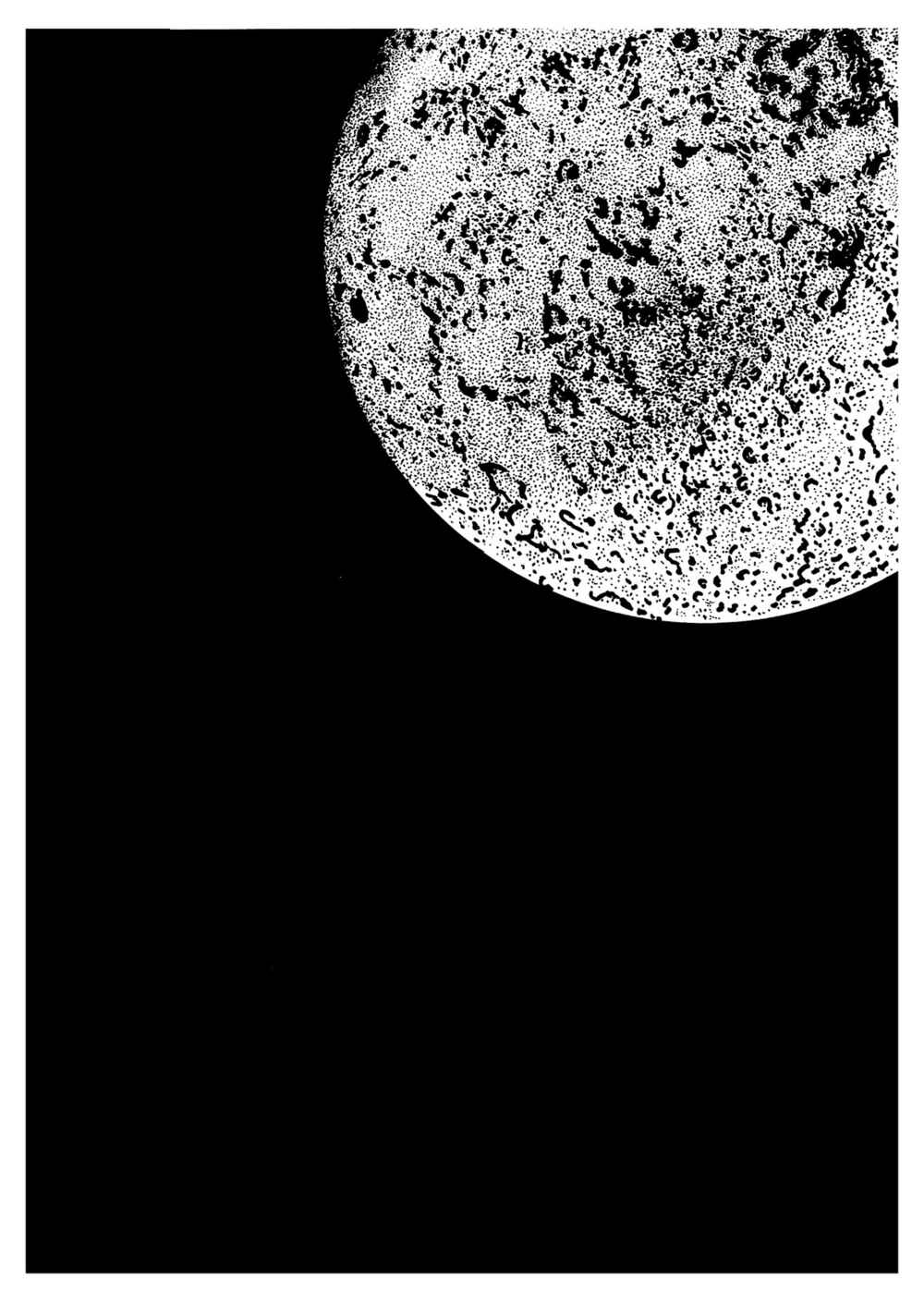 Page 13 Chapter 13 Inazuman