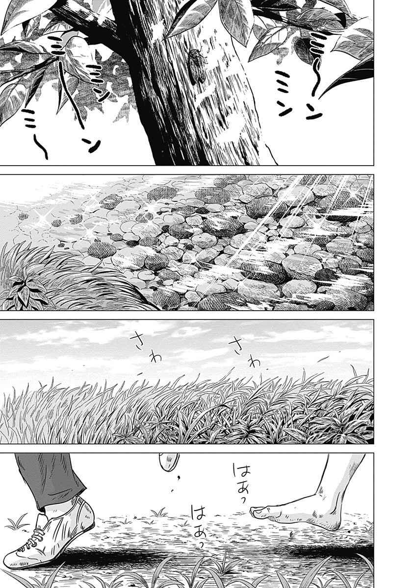 Page 27 Chapter 8 Olympia Kyklos