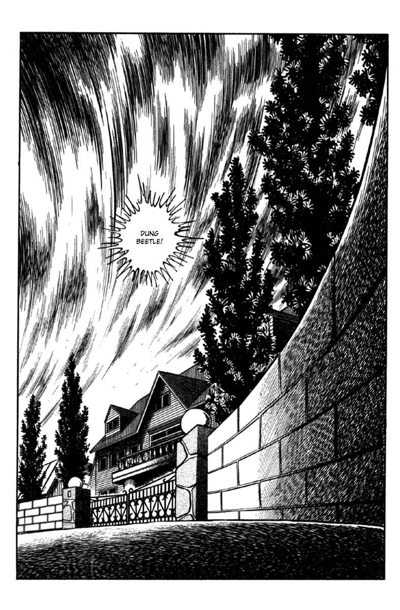 Page 5 Chapter 6 The Moon