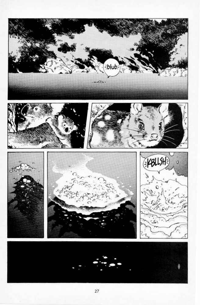 Page 27 Chapter 2 Version