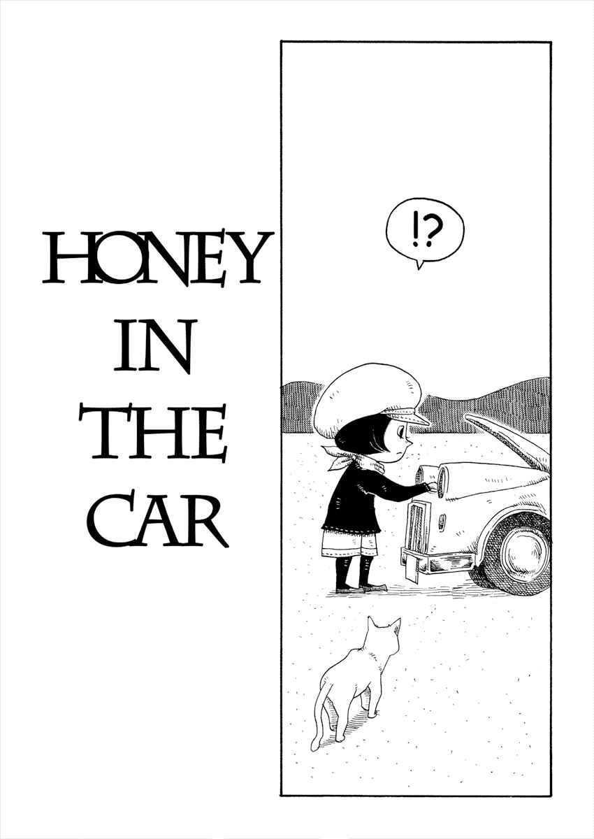 Page 1 Chapter 4 Cat in the Car