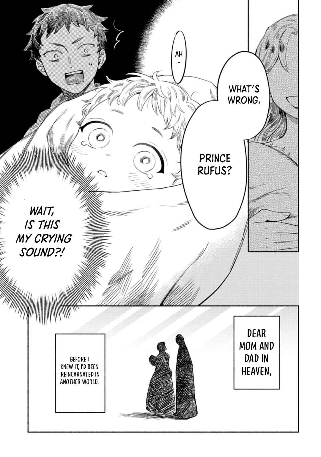 Page 12 Chapter 1 Shoukan Sukiru wo Keishou shitanode, Kiwamete Miyou to Omoimasu! ~Mofumofu Mahou seibutsu to Isekai Life wo Mankitsuchuu~