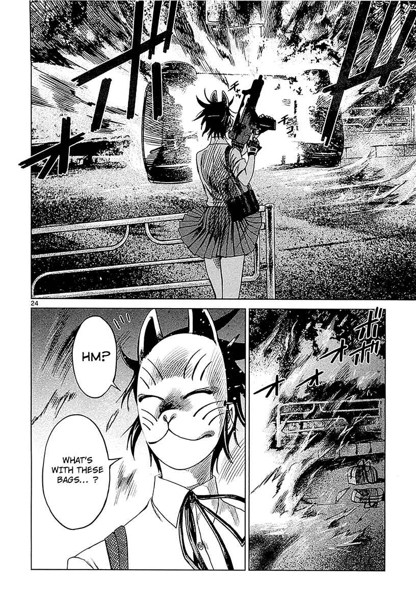 Page 23 Chapter 11 Destro 246