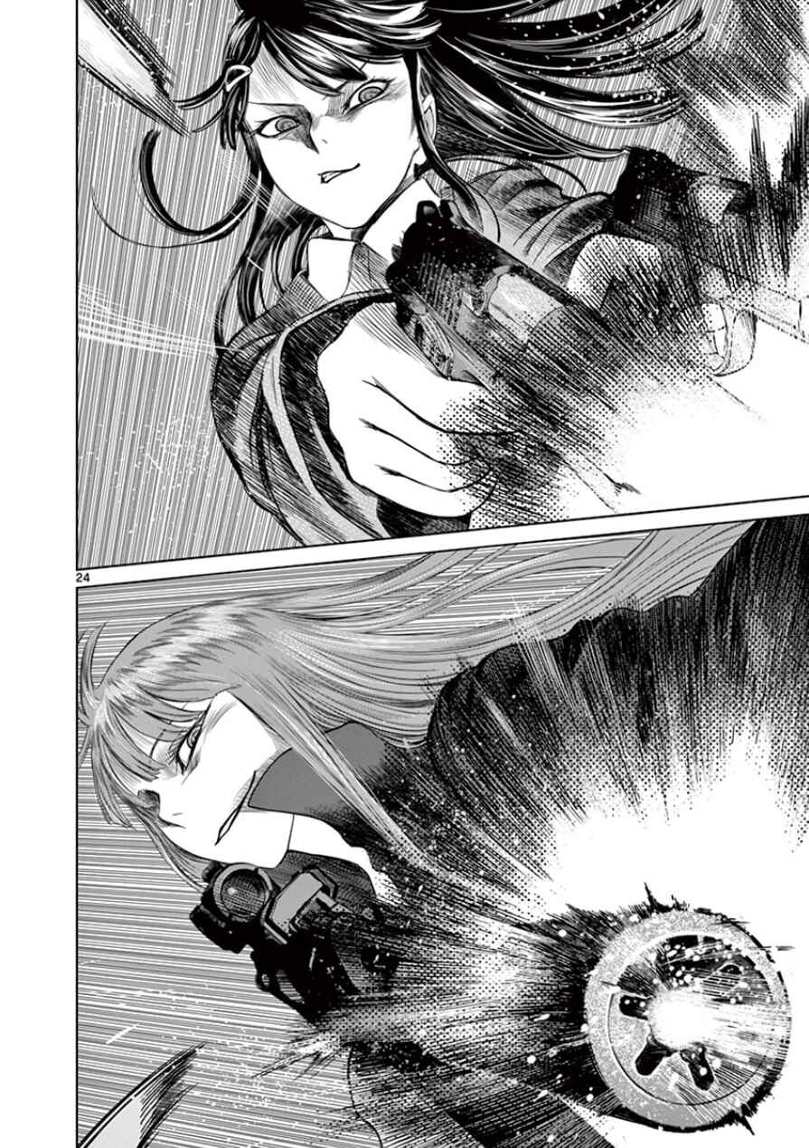 Page 25 Chapter 33 Destro 246