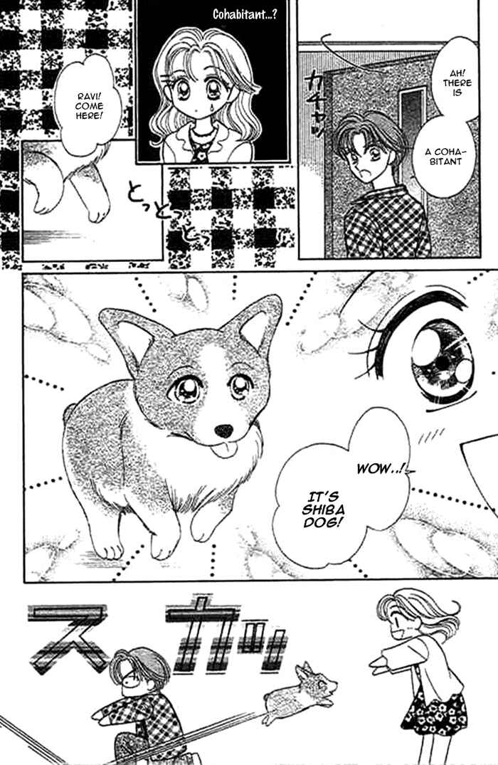 Page 11 Chapter 2 1/2 Series
