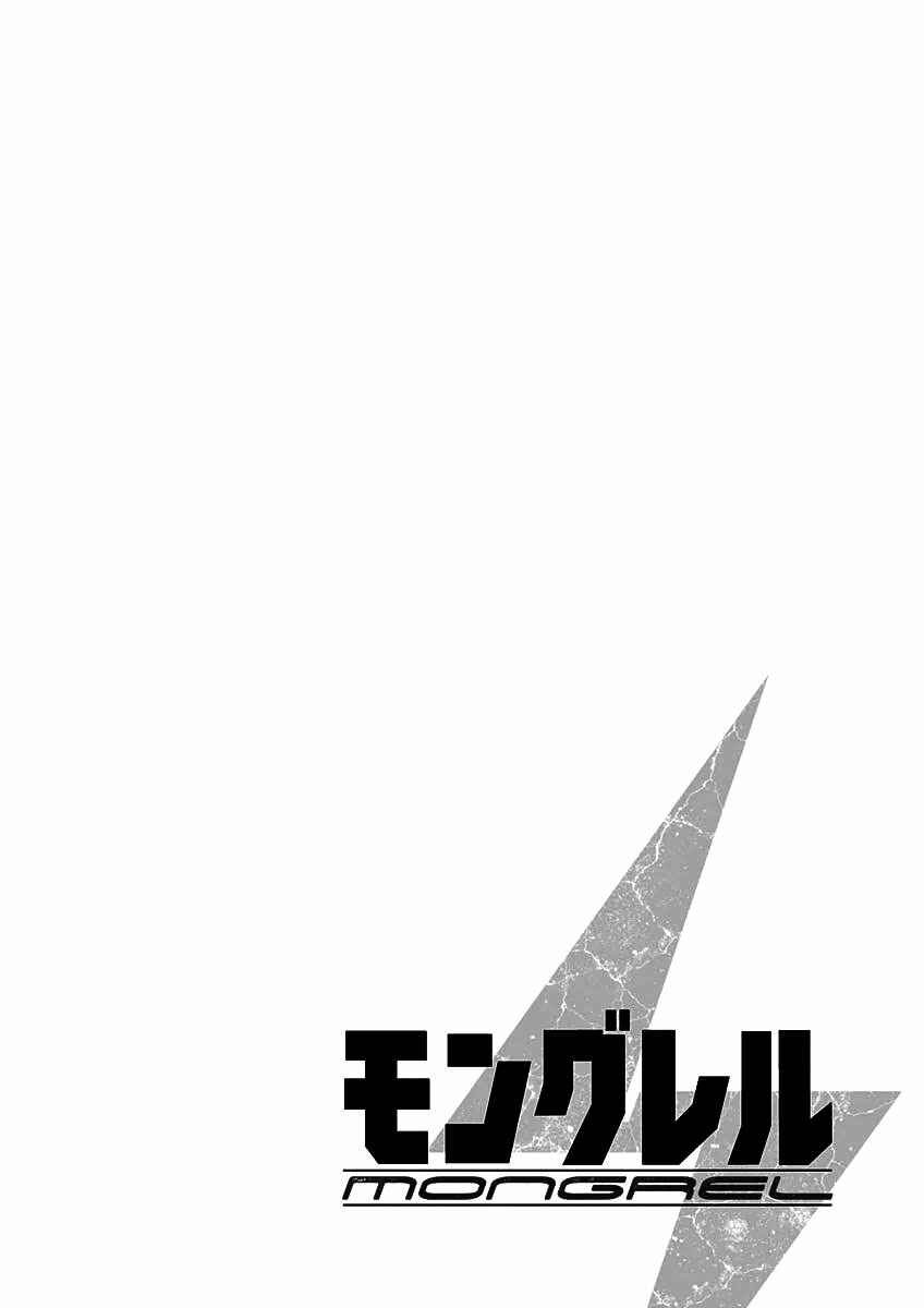 Page 20 Chapter 14 Mongrel