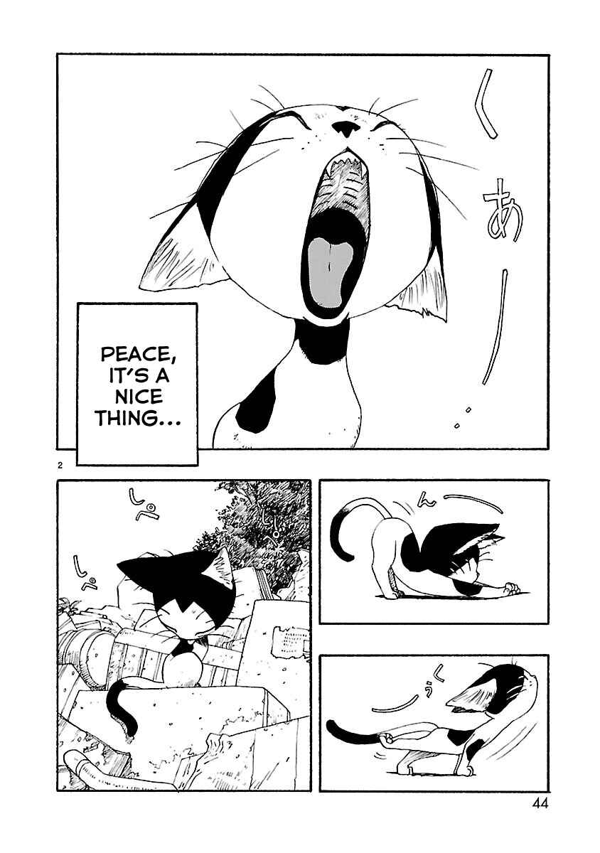Page 2 Chapter 12 ATOM: The Beginning