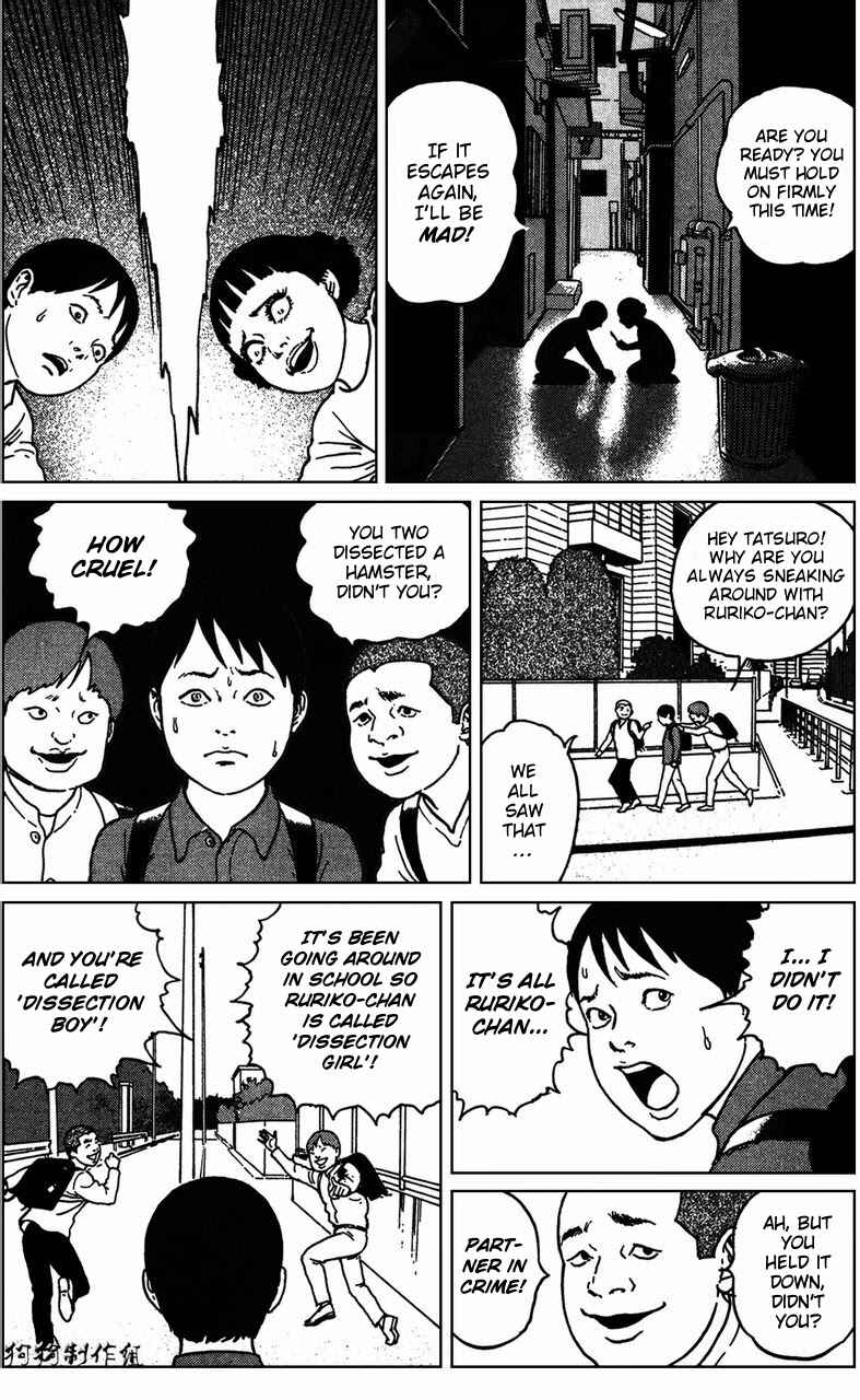 Page 13 Chapter 5 The Shard of Evil