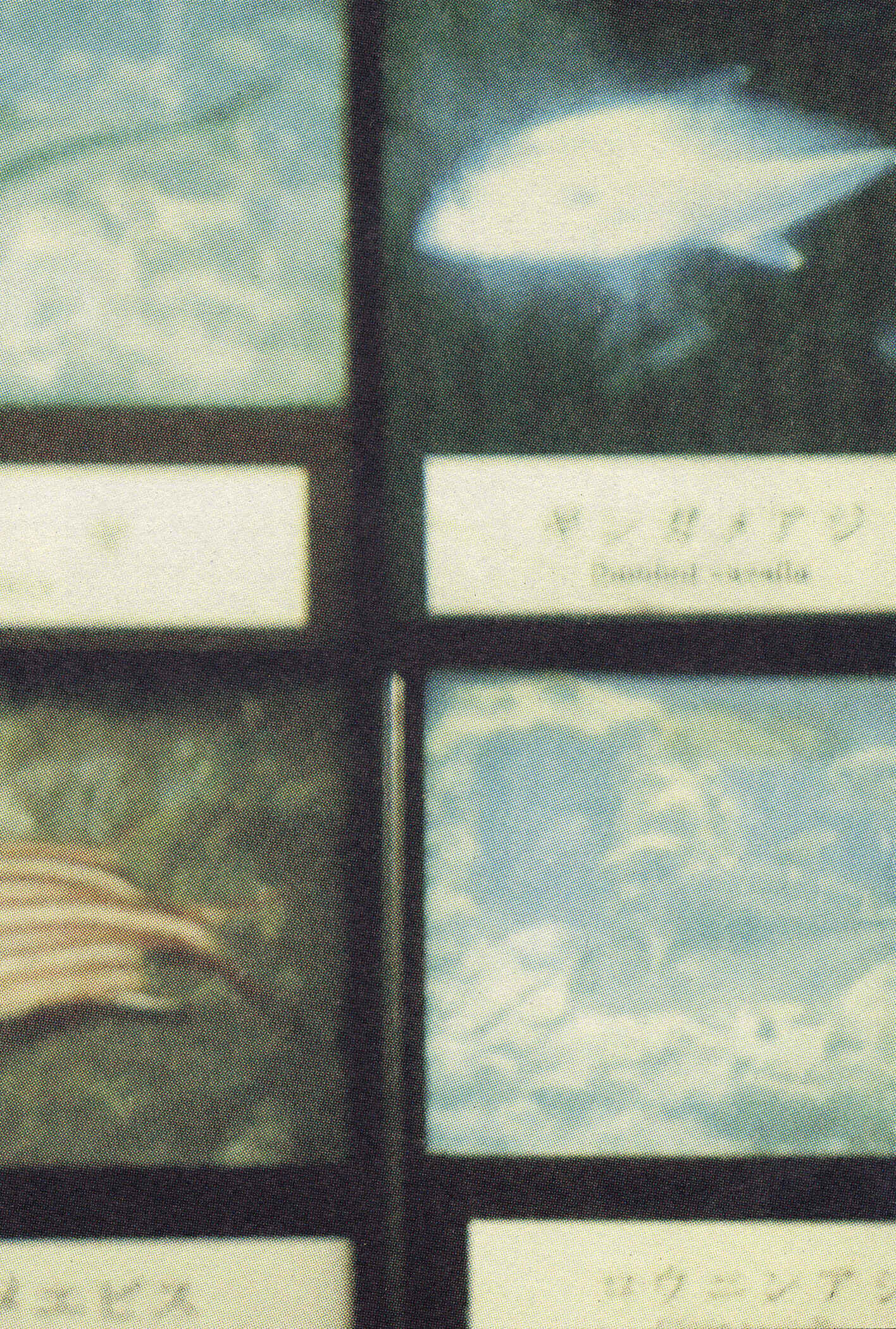 Page 13 Chapter 7 Feet Scraping Aquarium