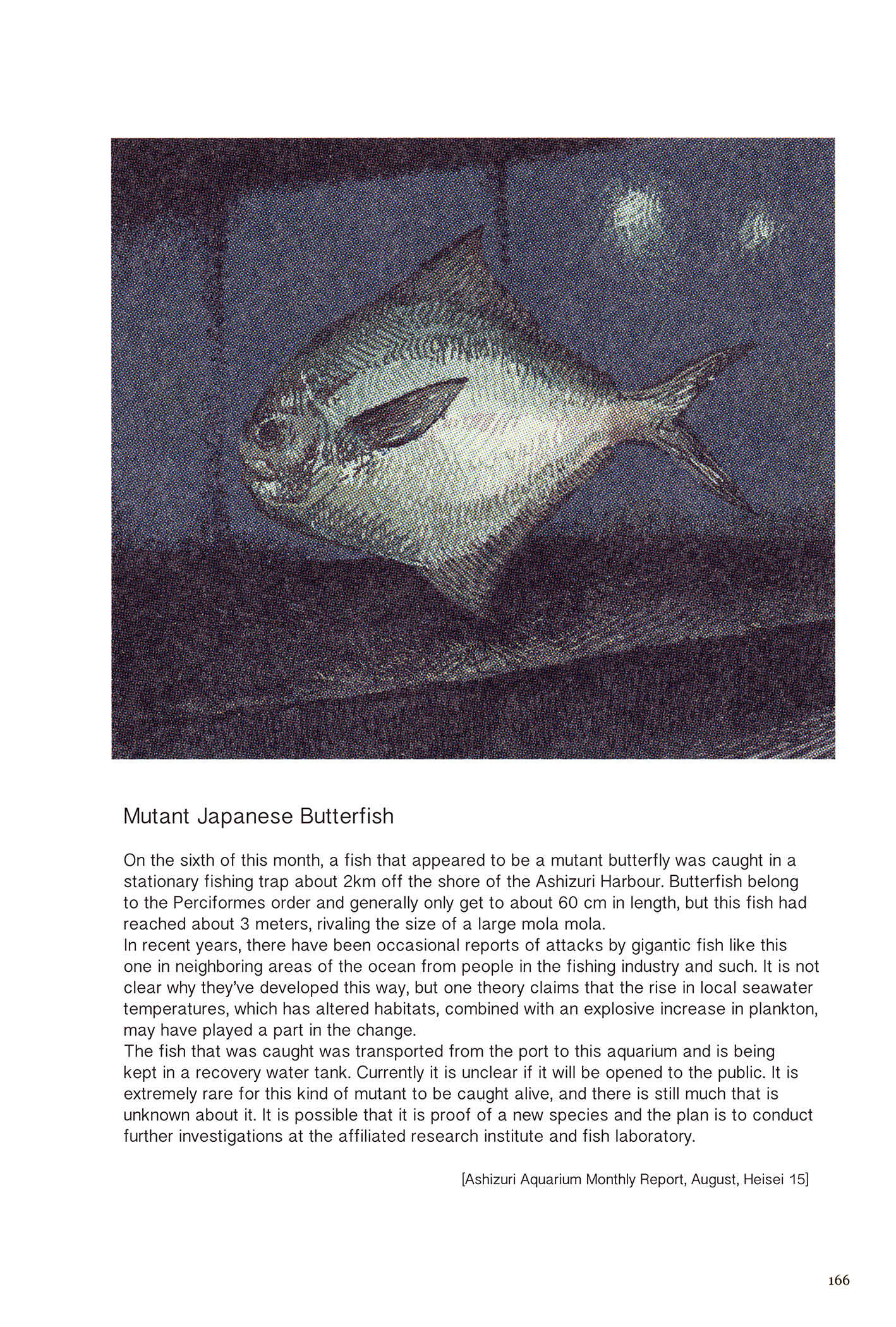 Page 14 Chapter 7 Feet Scraping Aquarium