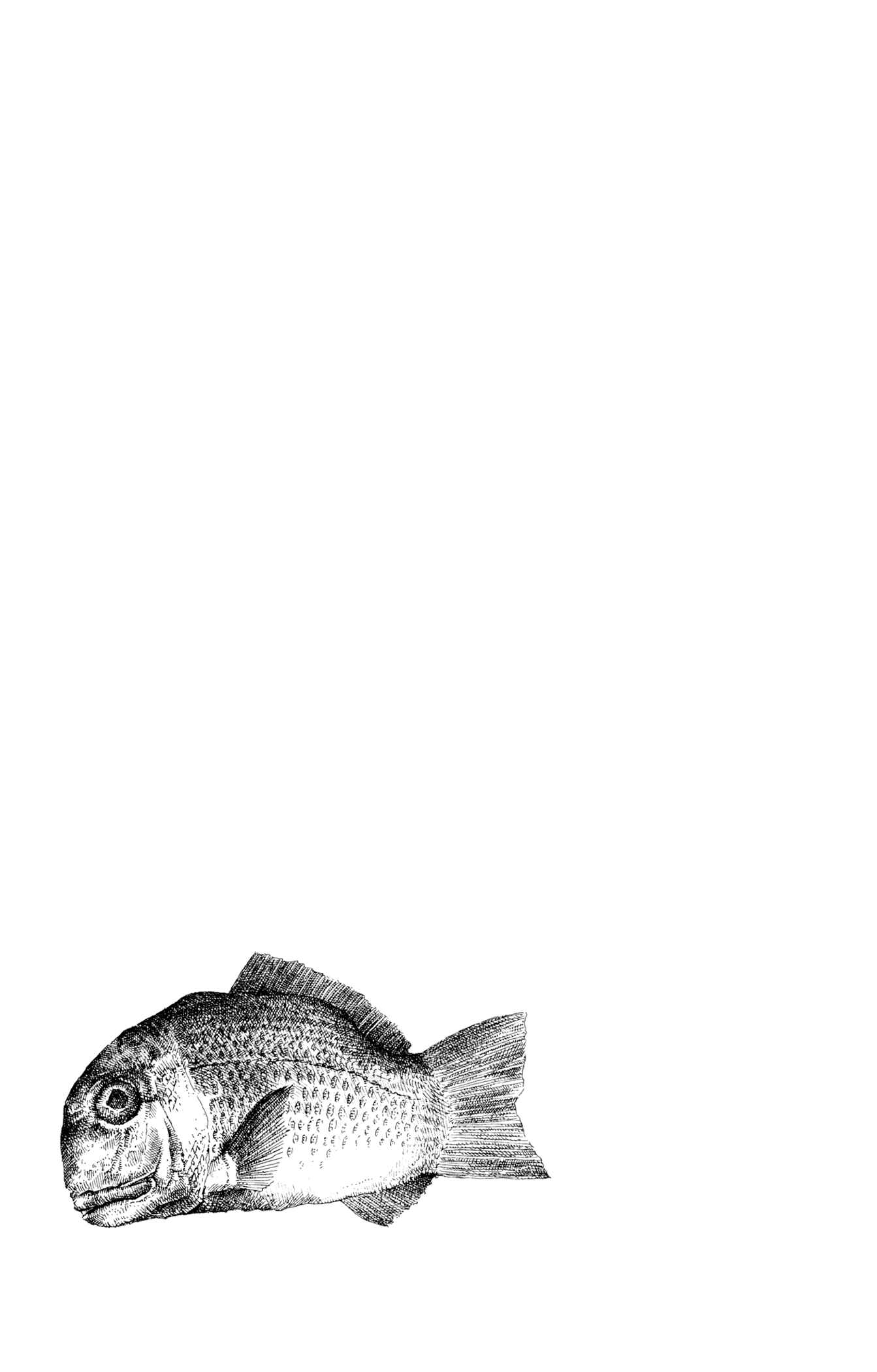 Page 6 Chapter 3 Feet Scraping Aquarium