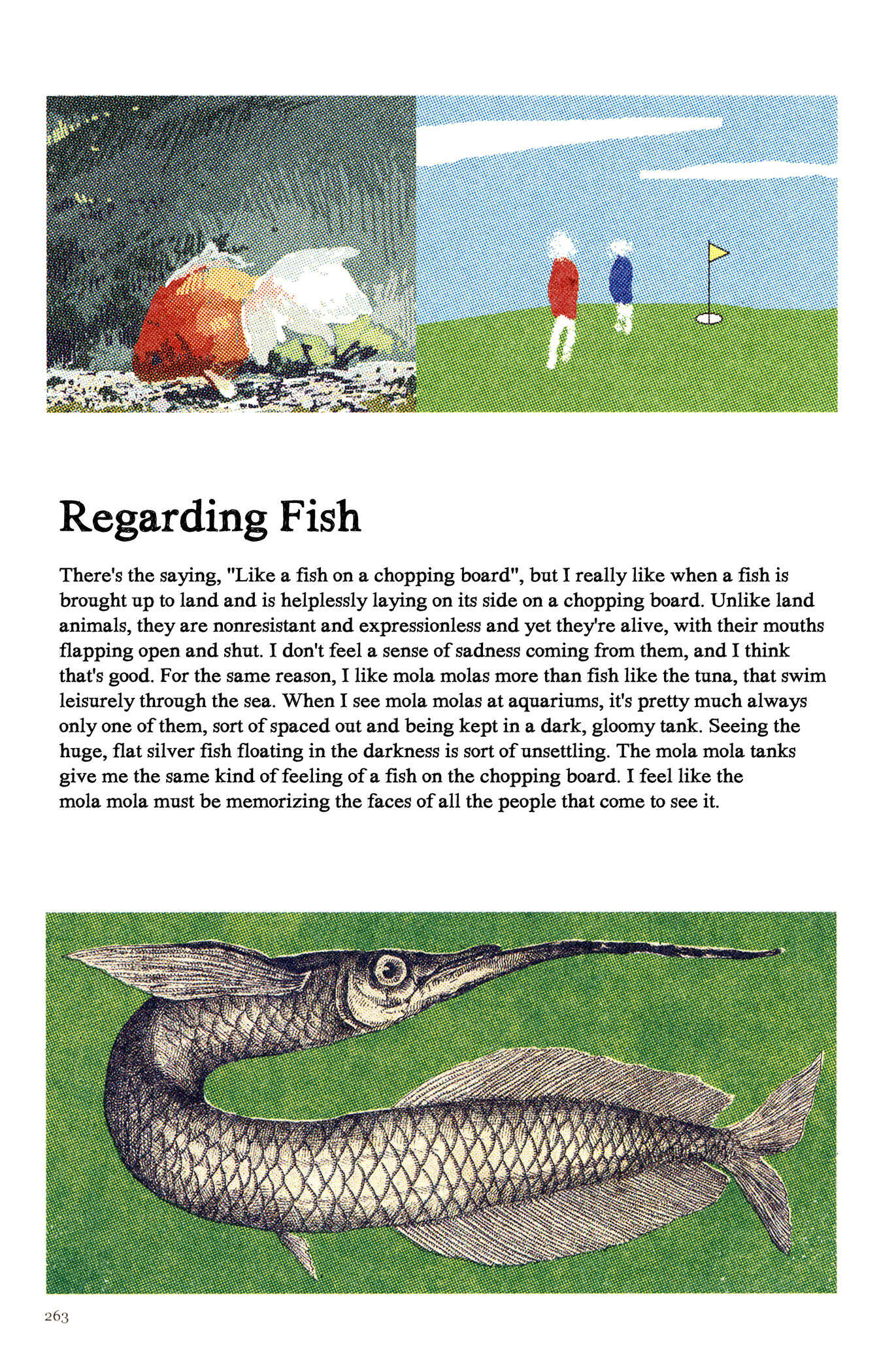 Page 4 Chapter 12 Feet Scraping Aquarium