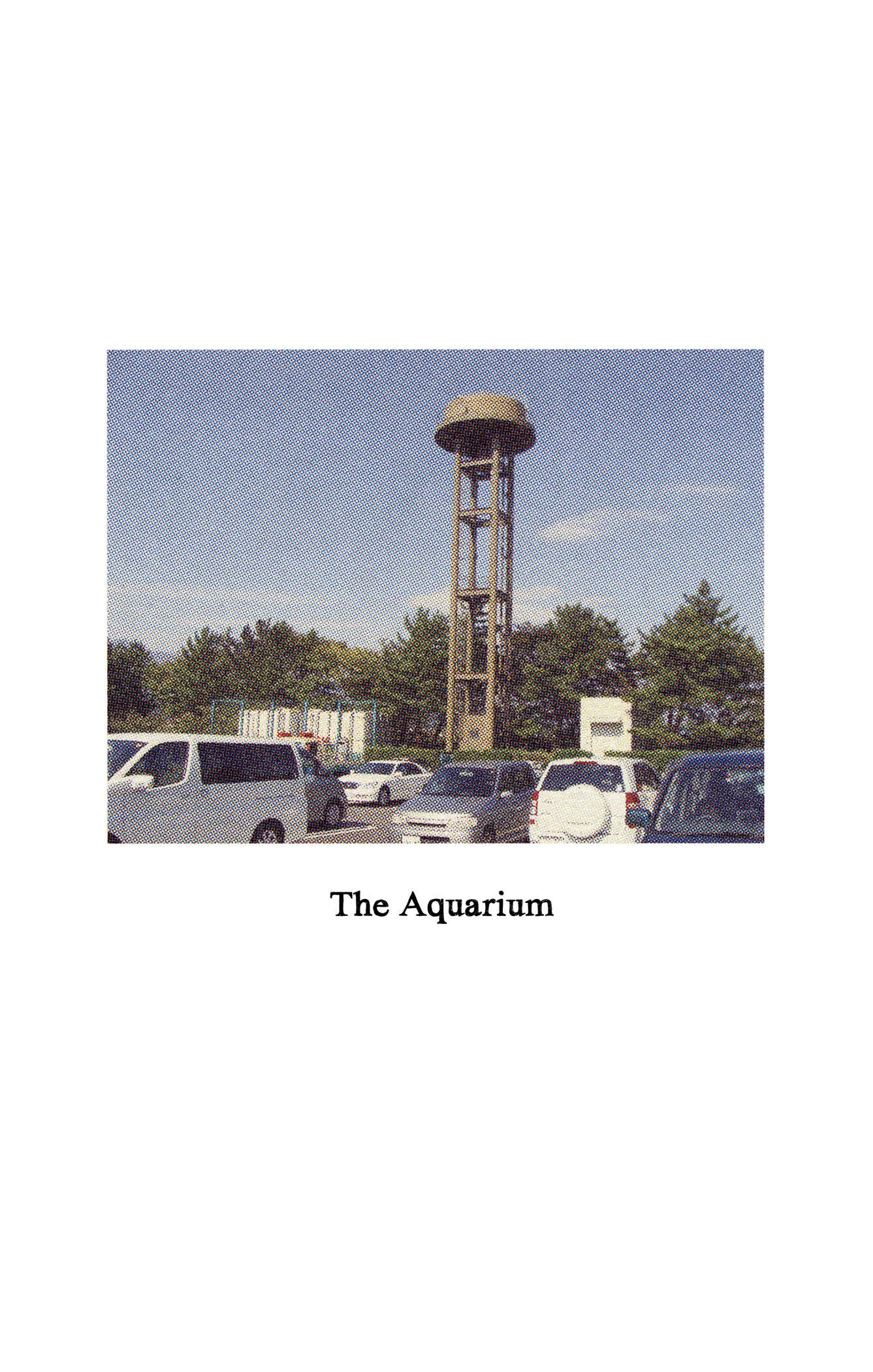 Page 5 Chapter 12 Feet Scraping Aquarium