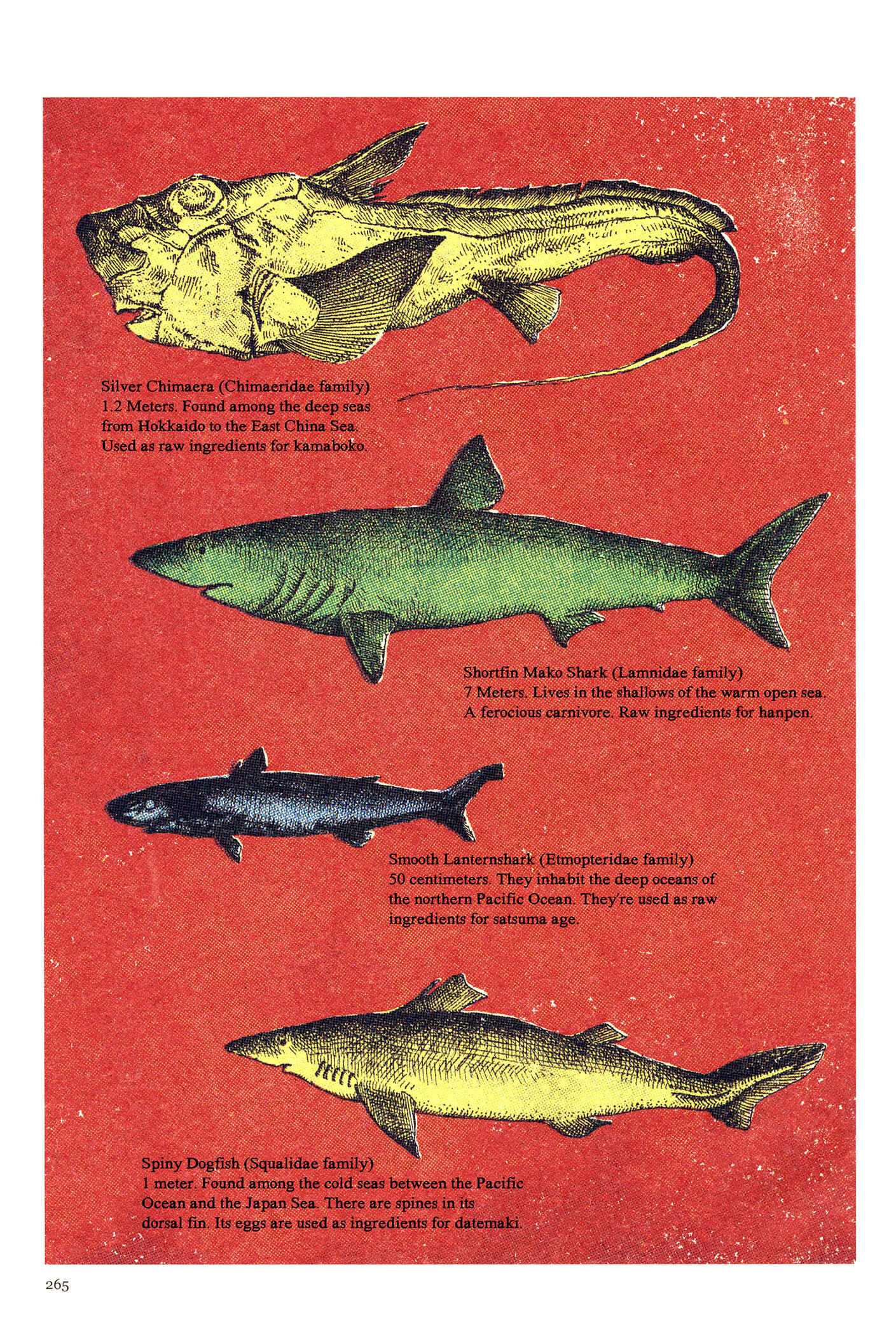 Page 6 Chapter 12 Feet Scraping Aquarium