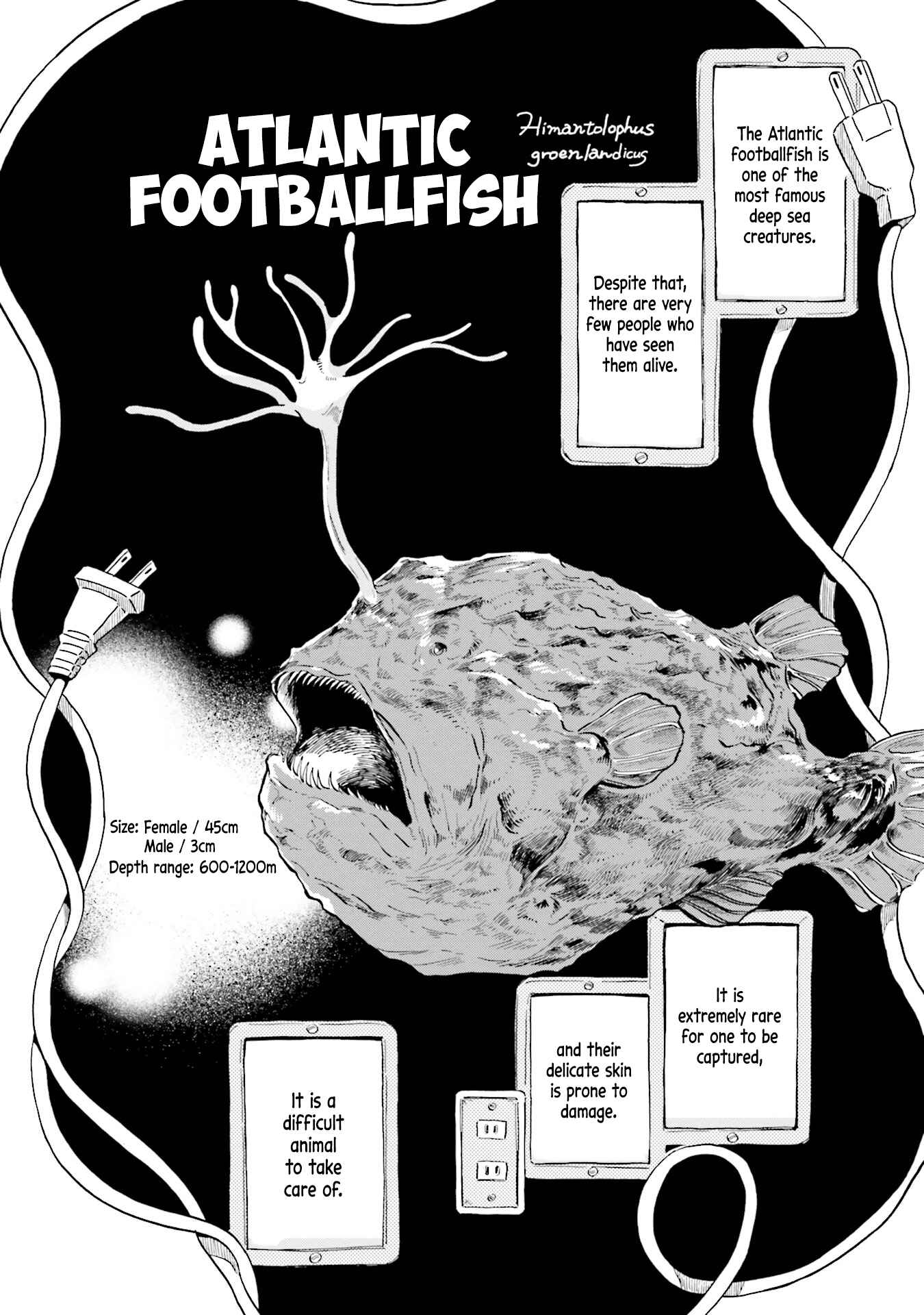 Page 6 Chapter 5 Magmell Shinkai Suizokukan