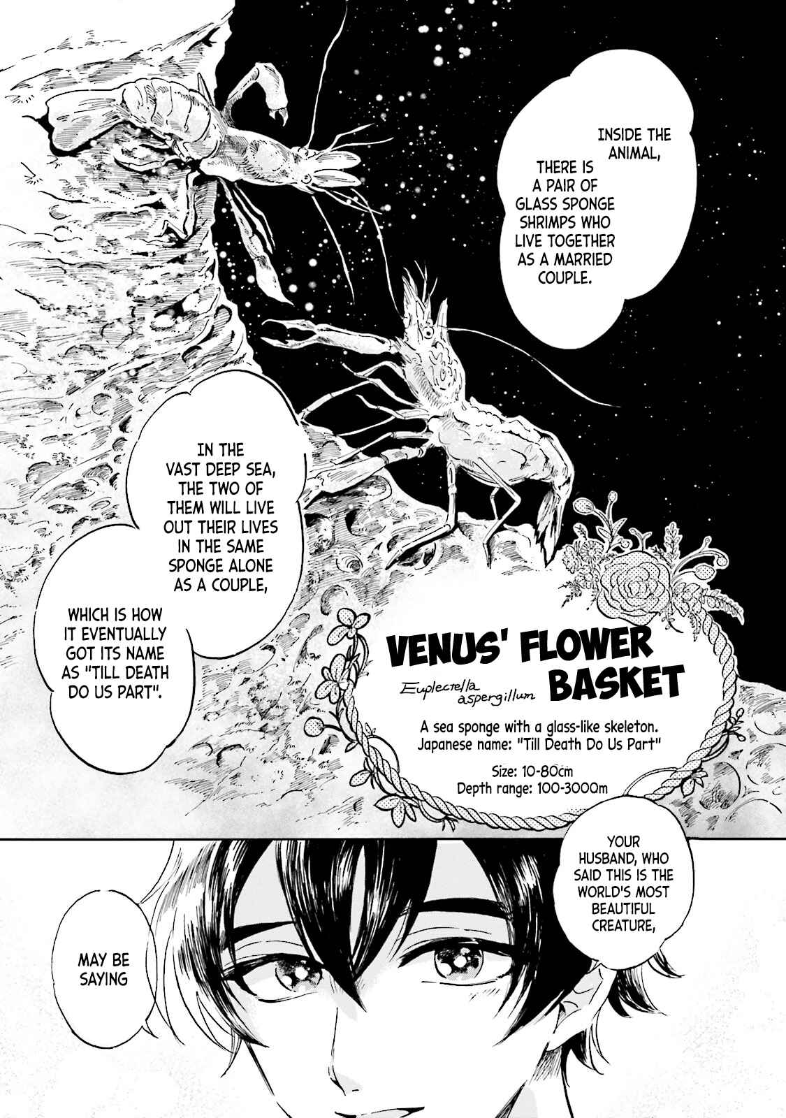 Page 16 Chapter 3 Magmell Shinkai Suizokukan