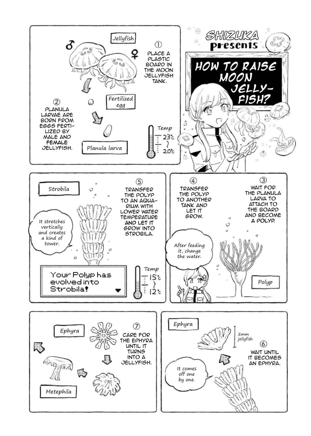 Page 21 Chapter 48 Magmell Shinkai Suizokukan