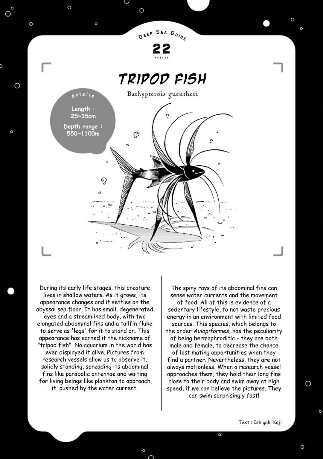 Page 33 Chapter 26 Magmell Shinkai Suizokukan