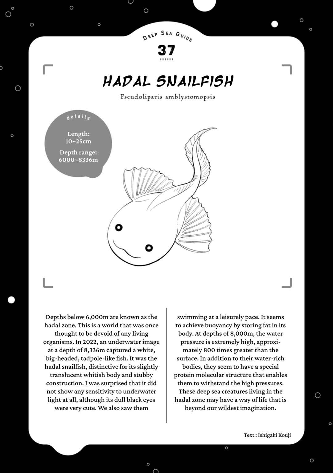 Page 37 Chapter 47 Magmell Shinkai Suizokukan