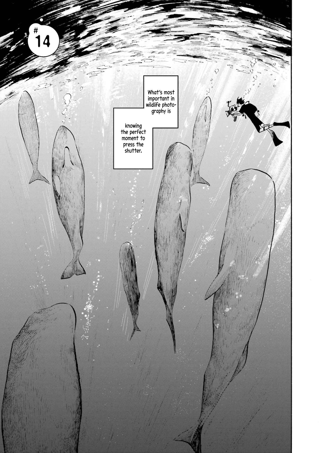 Page 1 Chapter 14 Magmell Shinkai Suizokukan