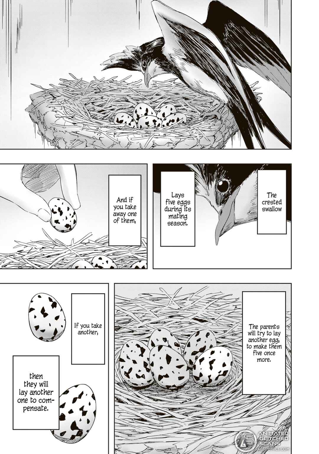 Page 5 Chapter 1 The Crown of Rutile Quartz