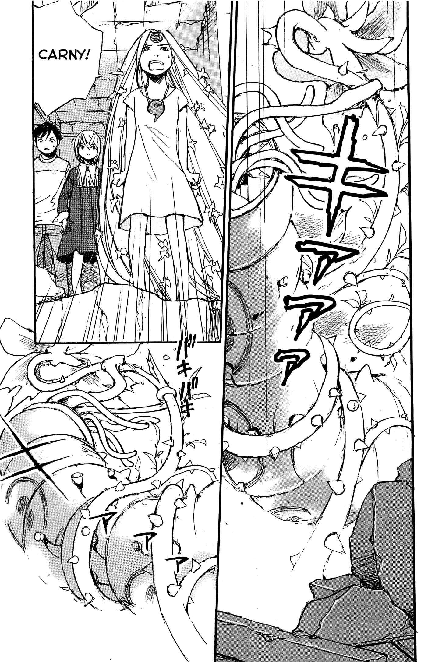 Page 27 Chapter 22 Acony