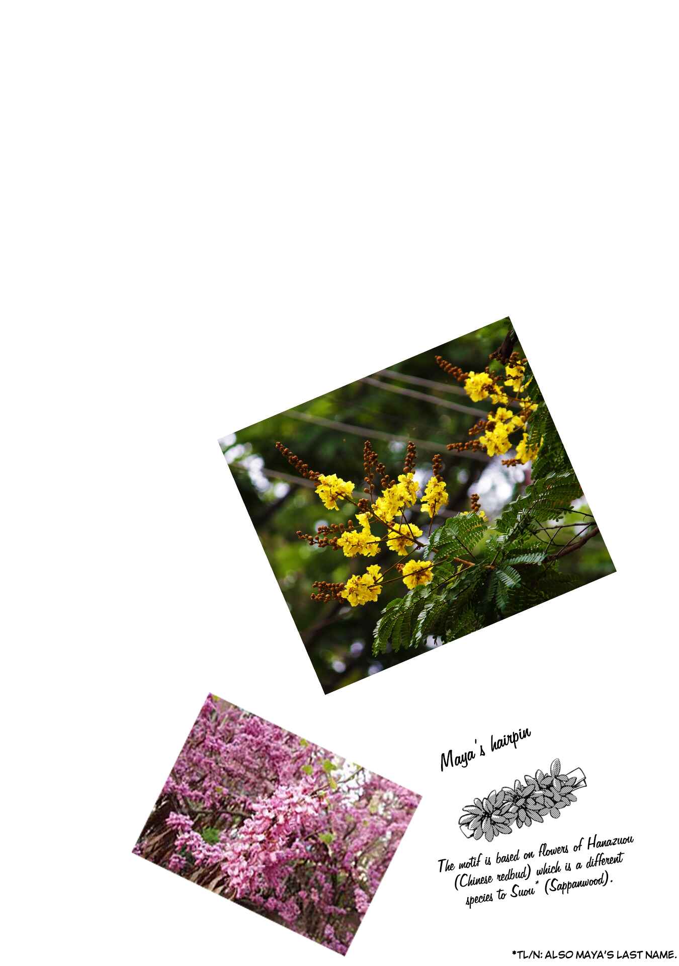 Page 34 Chapter 3 The Wolf in Love and Mille-Feuille