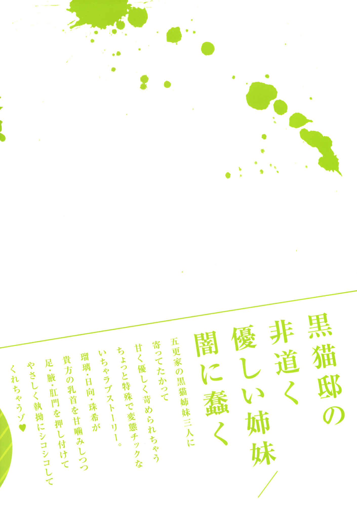 Page 28 Chapter Unknown_a119 Ore no Imouto ga Konna ni Kawaii Wake ga Nai - Kuroneko-tei no Hidoku Yasashii Shimai (Doujinshi)