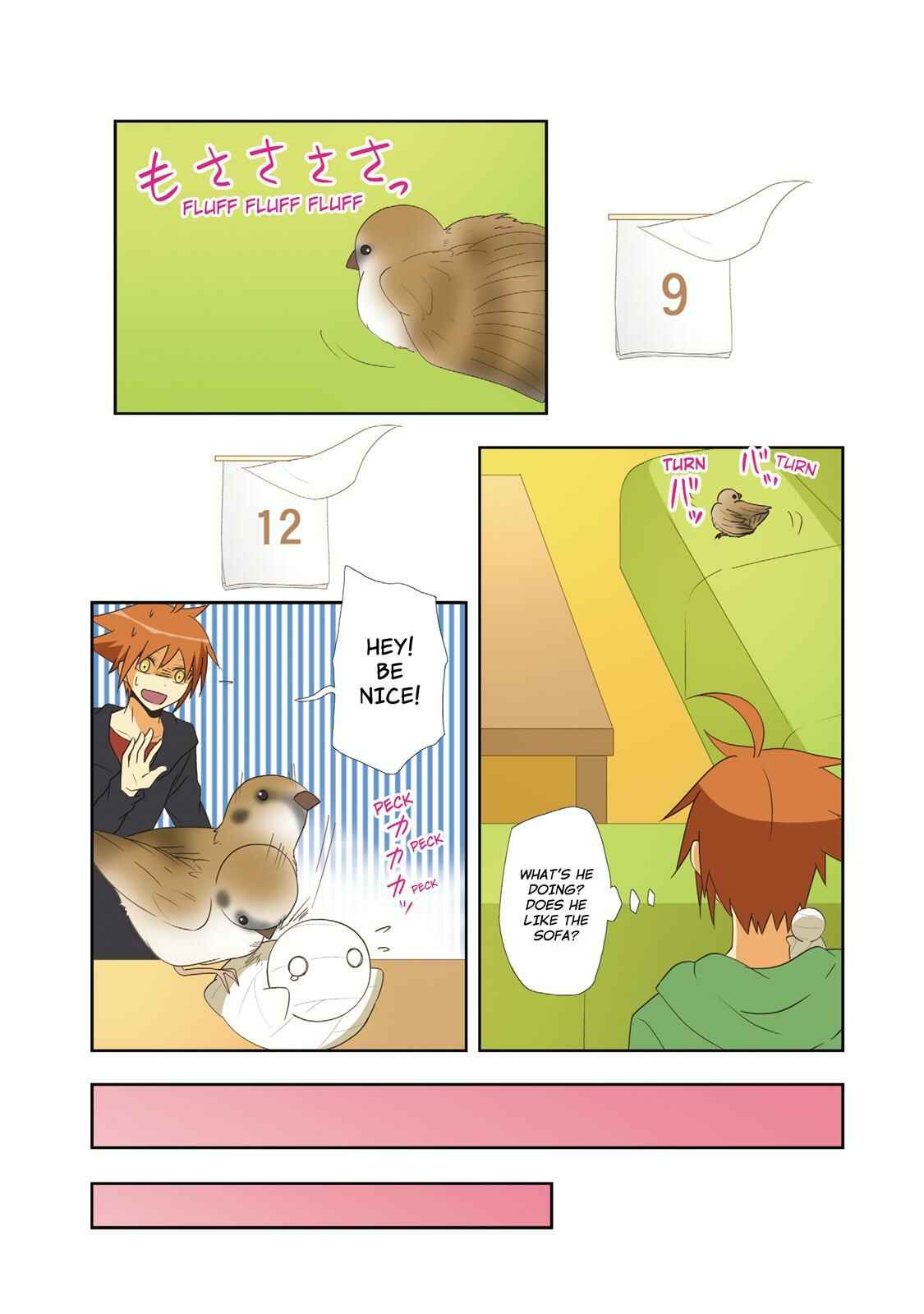 Page 6 Chapter 40 Miira no Kaikata