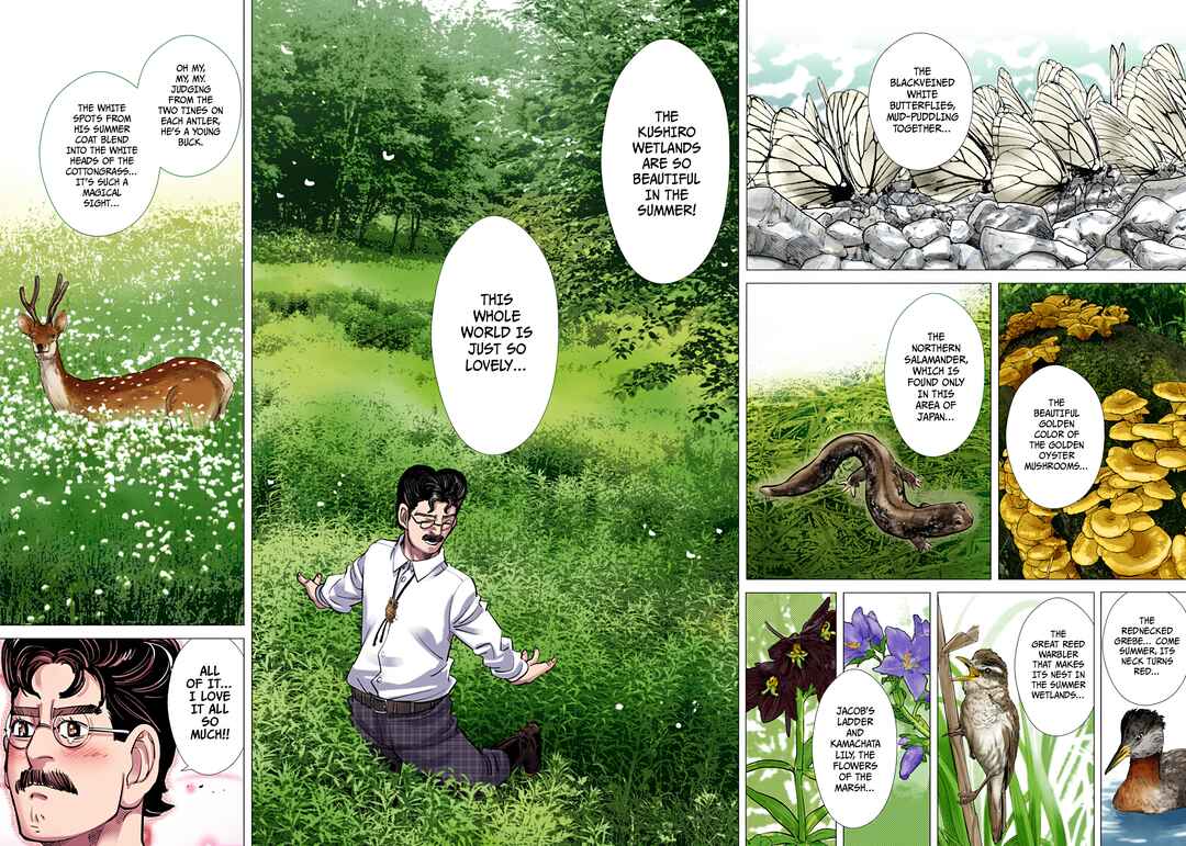 Page 13 Chapter 108 Golden Kamuy (Official Colored)