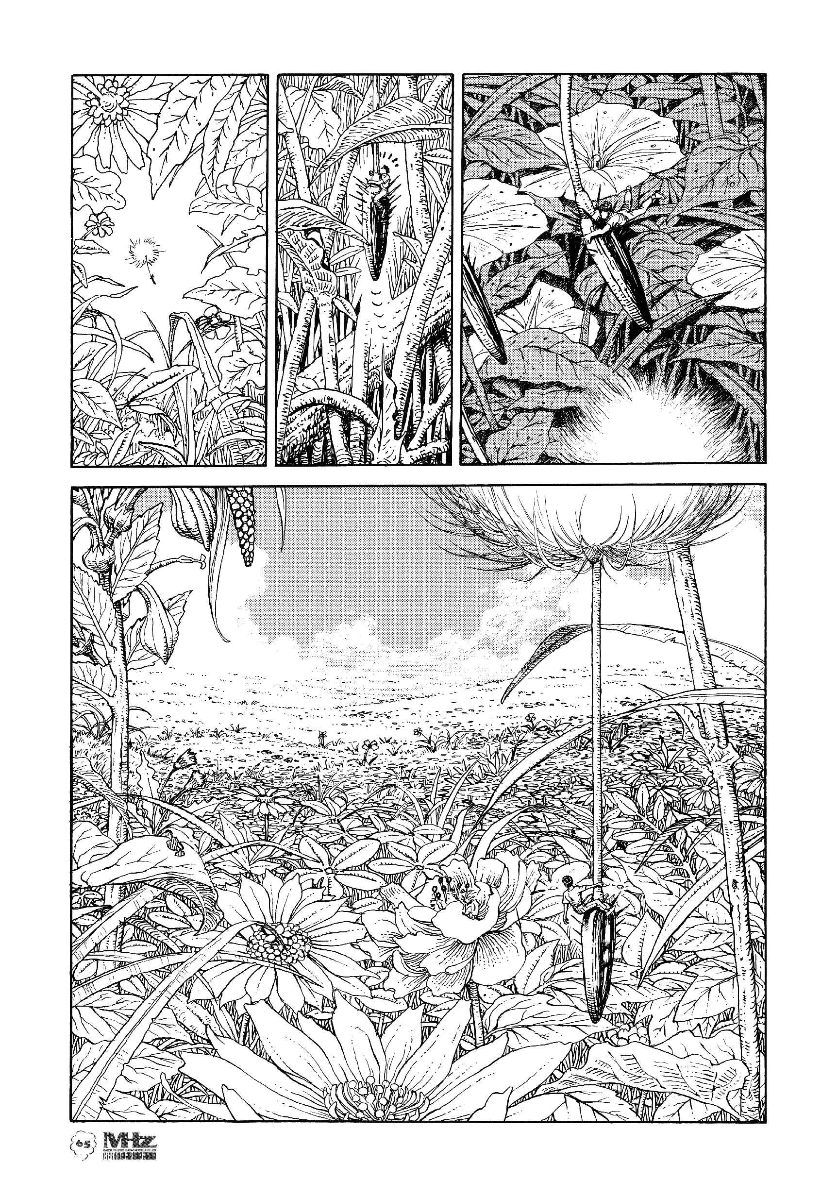 Page 5 Chapter 4 ASTROID