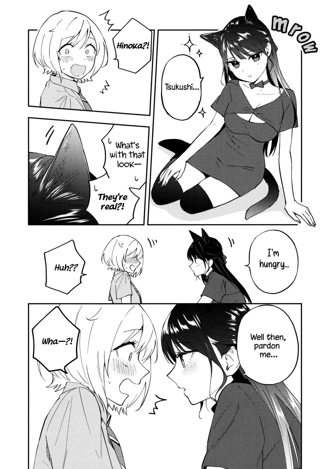 Page 3 Chapter 13.6 Yume de Furarete Hajimaru Yuri