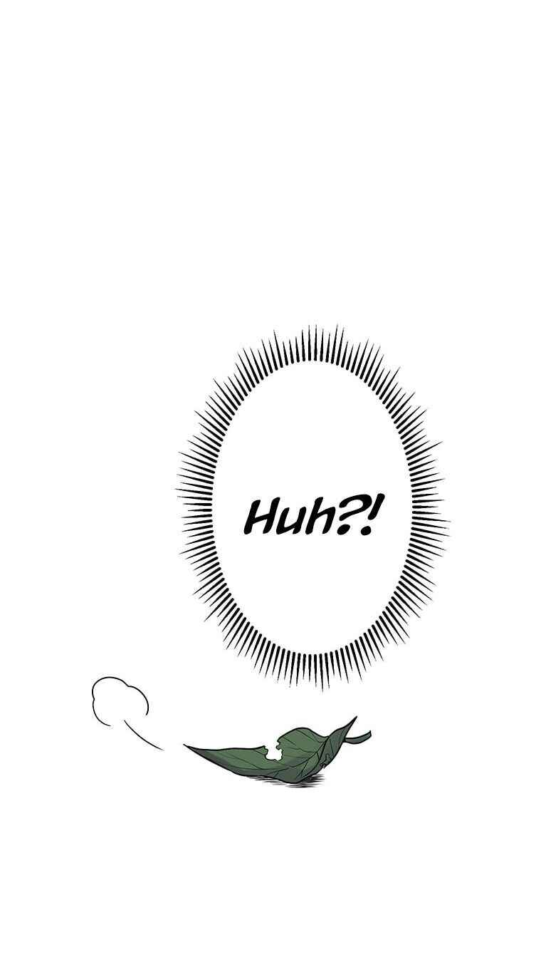Page 39 Chapter 11 Welcome to the Wizards Bistro