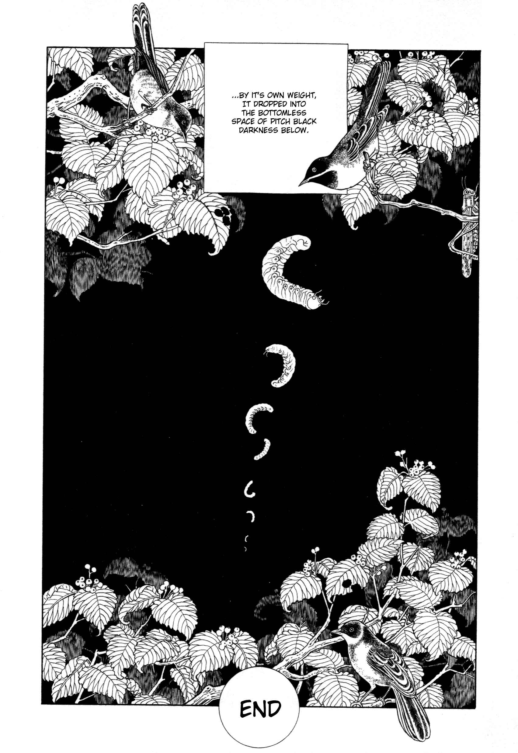 Page 27 Chapter 4 The Caterpillar