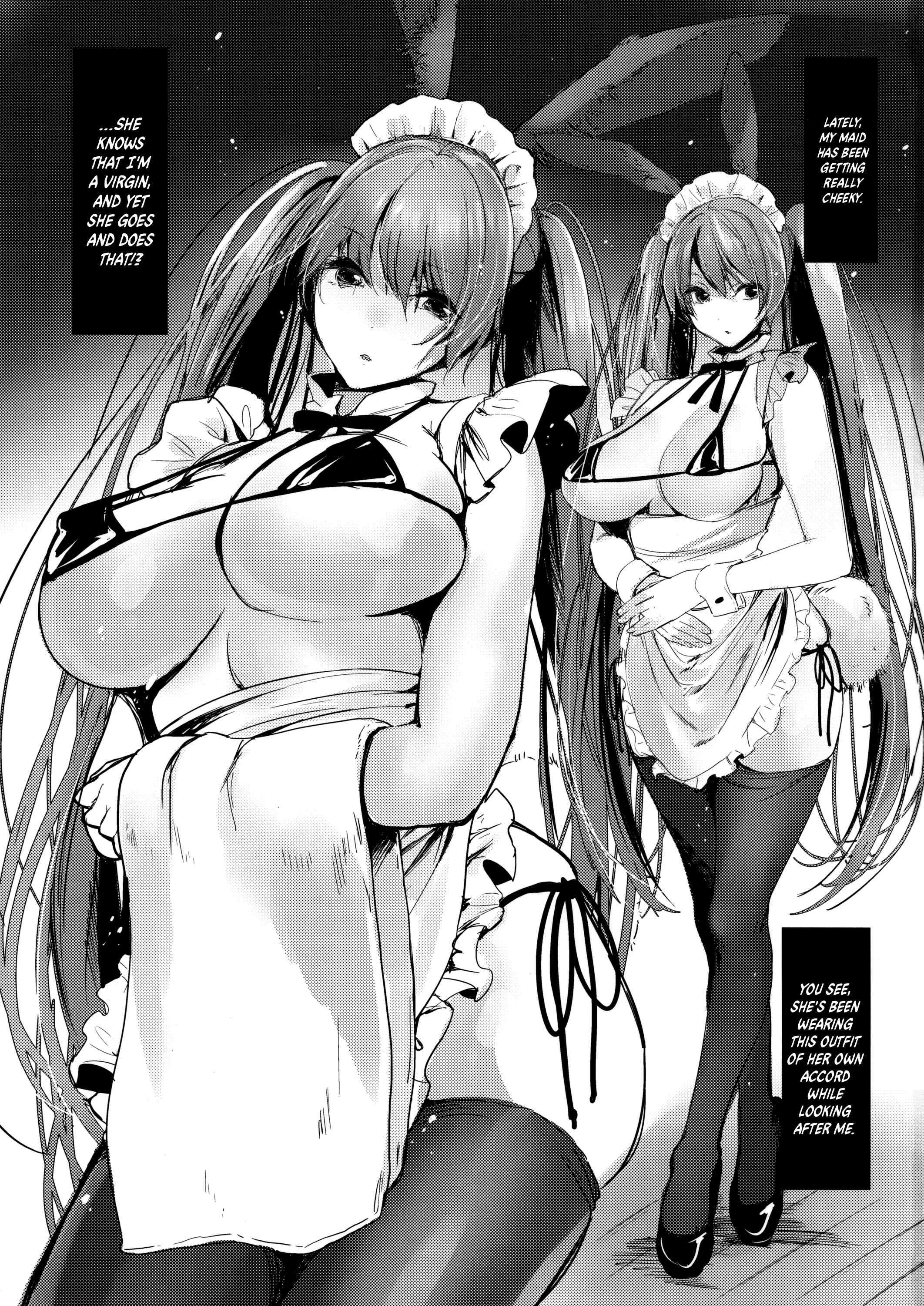 Page 2 Chapter Unknown_8ab6 The Bunny Maids Provocation