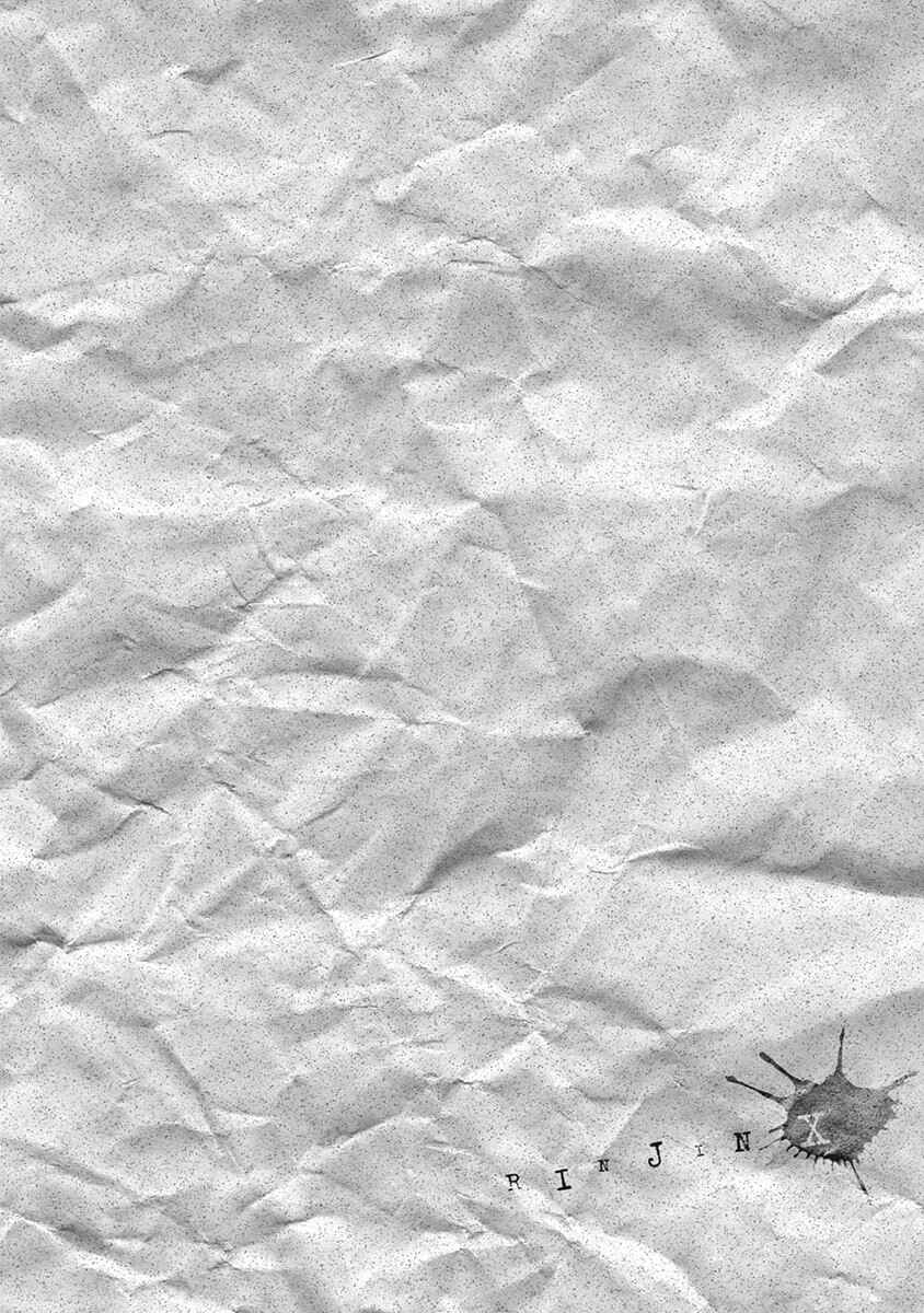 Page 31 Chapter 12 Rinjin X