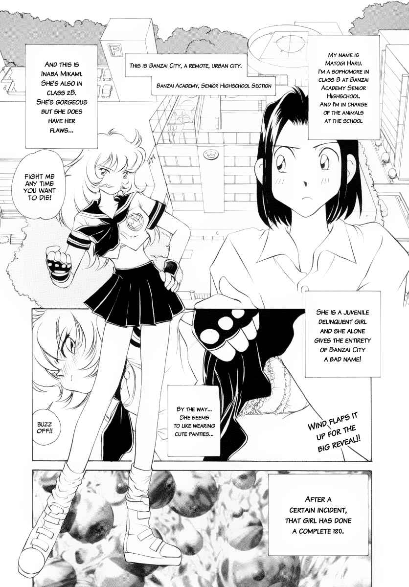 Page 3 Chapter 2 Cue with Usagi-chan!!