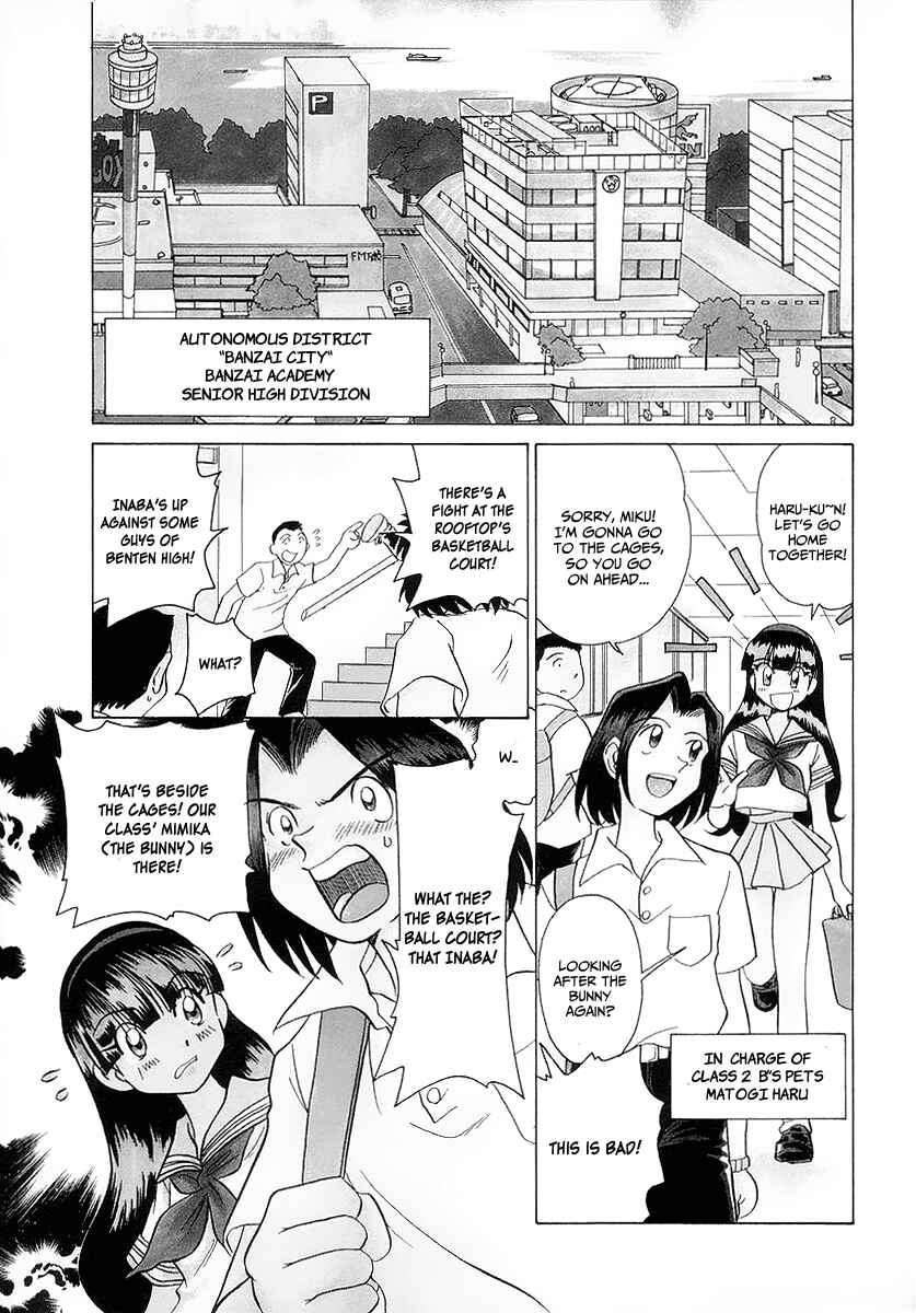 Page 10 Chapter 1 Cue with Usagi-chan!!