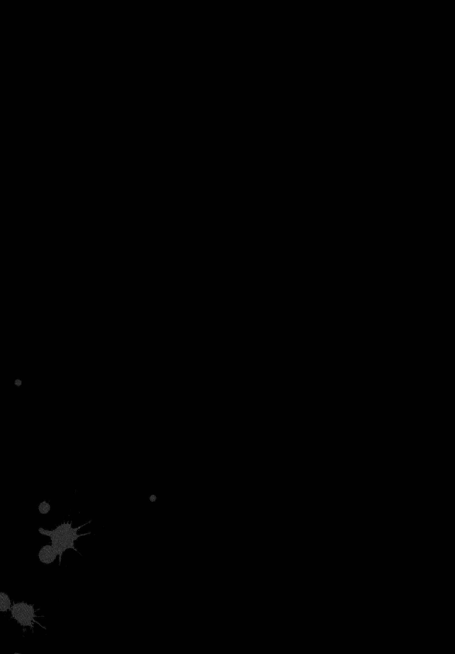 Page 57 Chapter 19 Groundless
