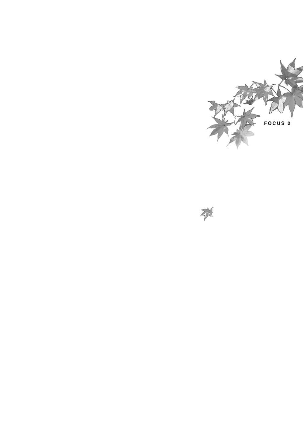 Page 33 Chapter 6 Focus