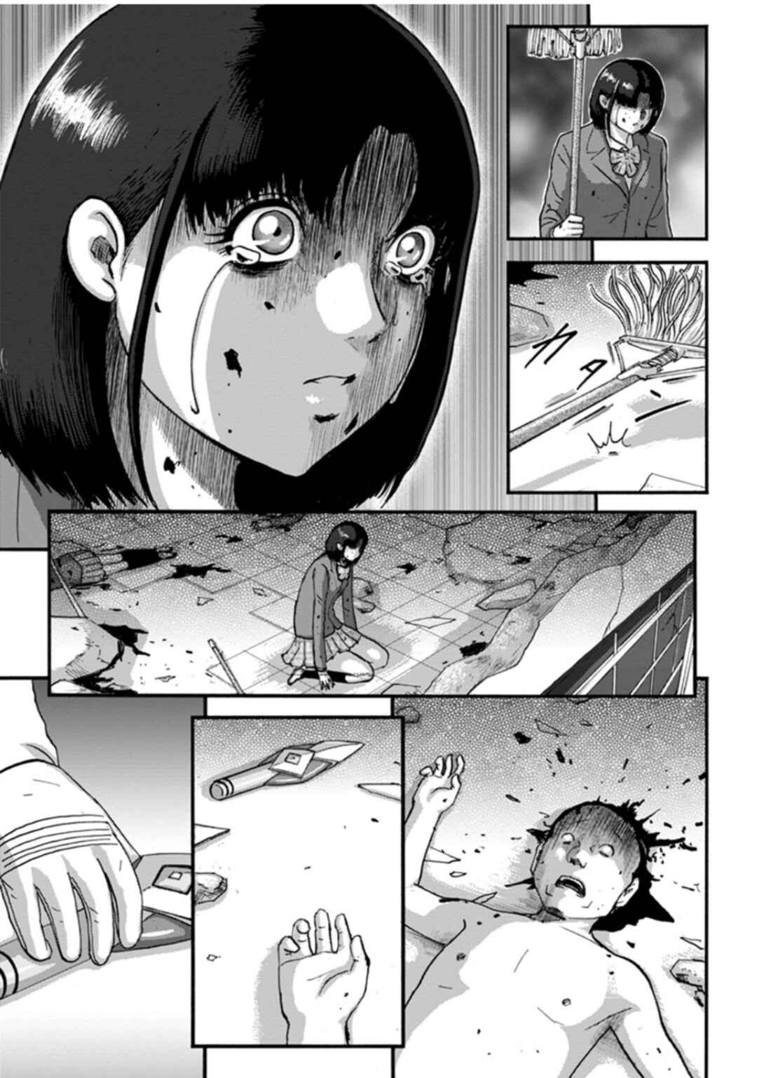 Page 39 Chapter 4 Seigi no Mikata Seigidar